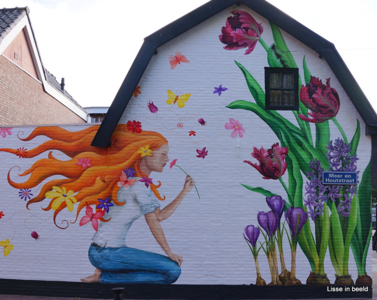 Muurkunst in de Meer en Houtstraat